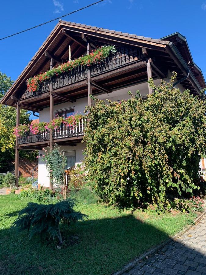 Gaestehaus Zum Rhein ラインハウゼン エクステリア 写真