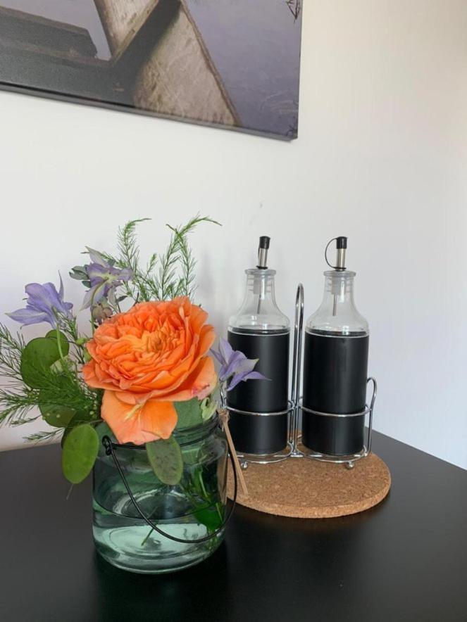Gaestehaus Zum Rhein ラインハウゼン エクステリア 写真